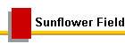 Sunflower Field